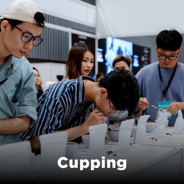 Cupping